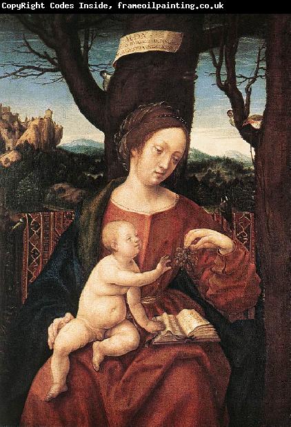 BURGKMAIR, Hans Madonna with Grape dfd